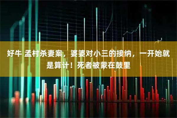 好牛 孟村杀妻案，婆婆对小三的接纳，一开始就是算计！死者被蒙在鼓里