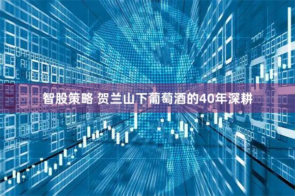 智股策略 贺兰山下葡萄酒的40年深耕