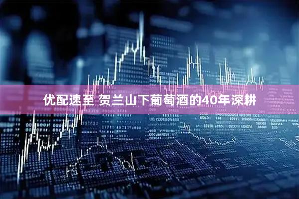 优配速至 贺兰山下葡萄酒的40年深耕