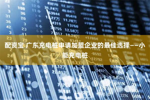 配资宝 广东充电桩申请加盟企业的最佳选择——小能充电桩