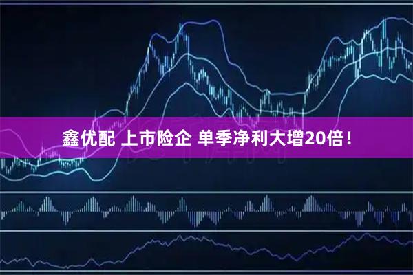 鑫优配 上市险企 单季净利大增20倍！