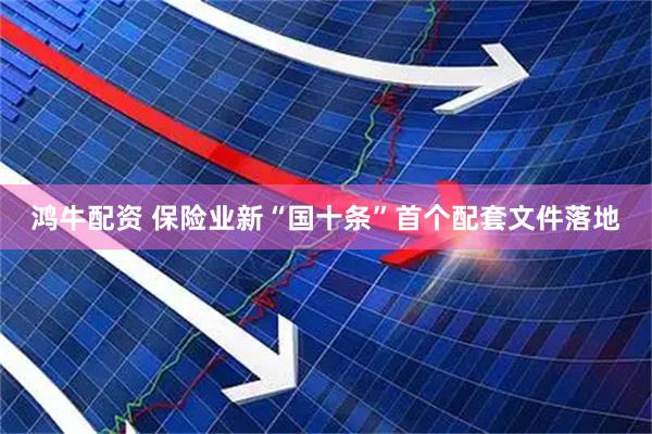 鸿牛配资 保险业新“国十条”首个配套文件落地