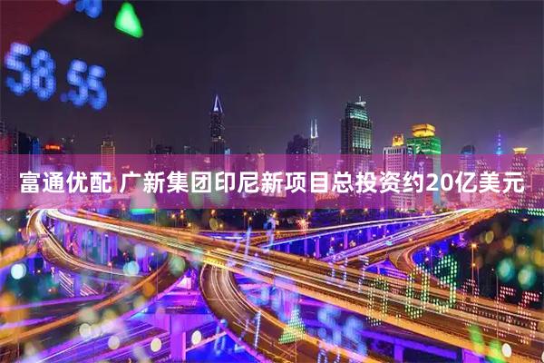 富通优配 广新集团印尼新项目总投资约20亿美元