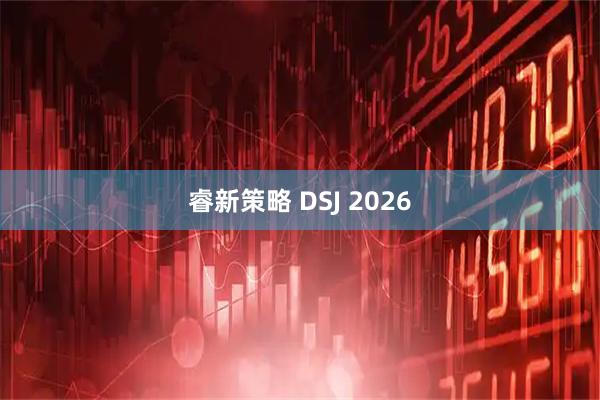睿新策略 DSJ 2026
