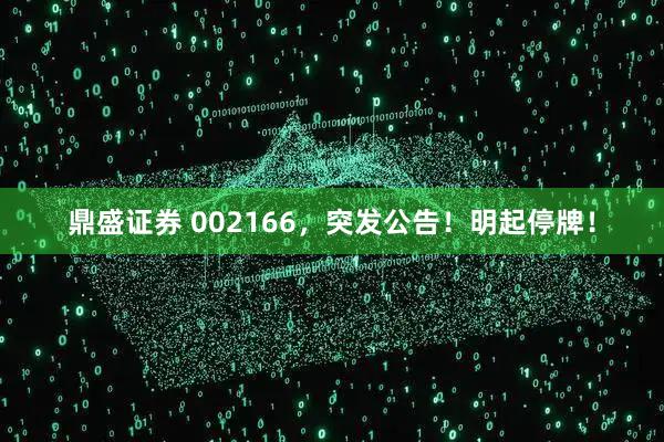 鼎盛证券 002166，突发公告！明起停牌！